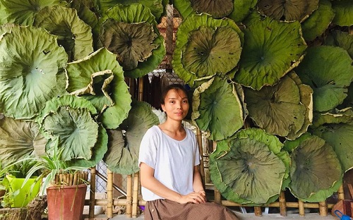 Thái Nguyên: Nữ 9x khởi nghiệp thành công quy mô trồng chè khác biệt